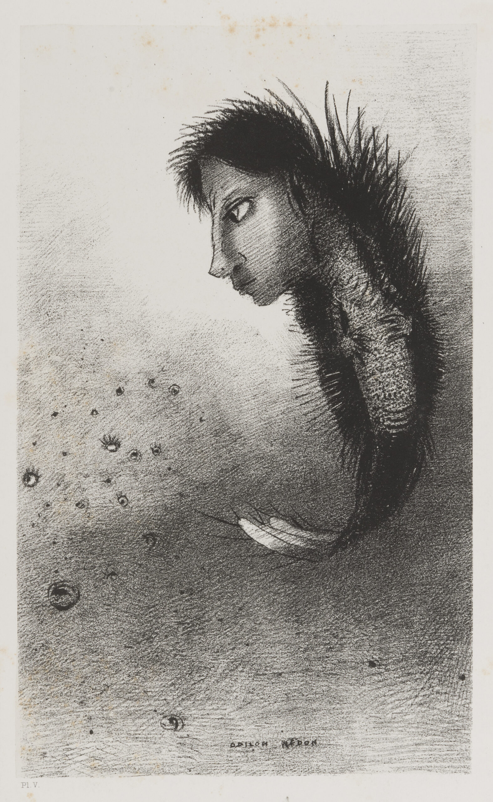 Odilon Redon : Résultat de vente Cote et Valeur